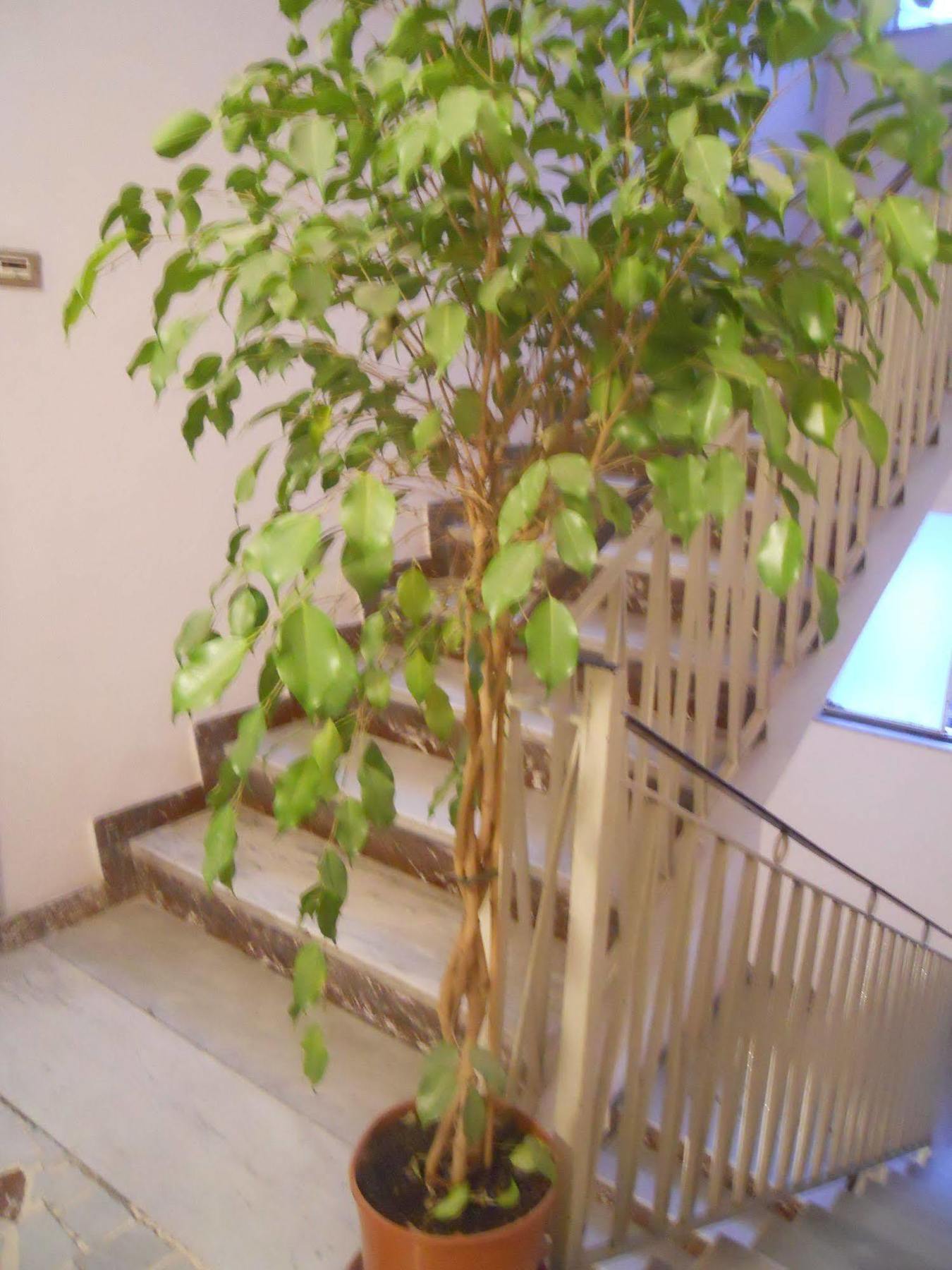 Catania Crossing B&B - Rooms & Comforts 외부 사진